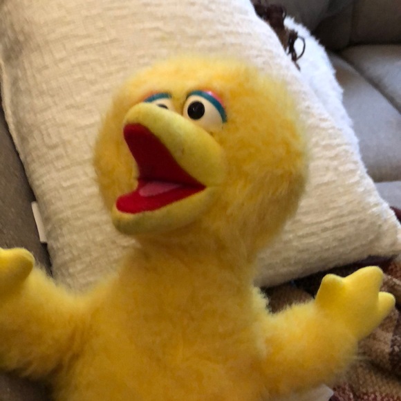 Meet your Posher, Kelly - Picture 1 of 1